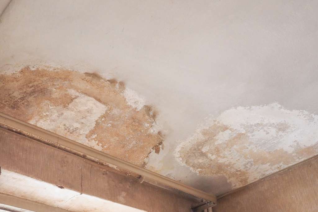 How to claim dampness to the home insurance