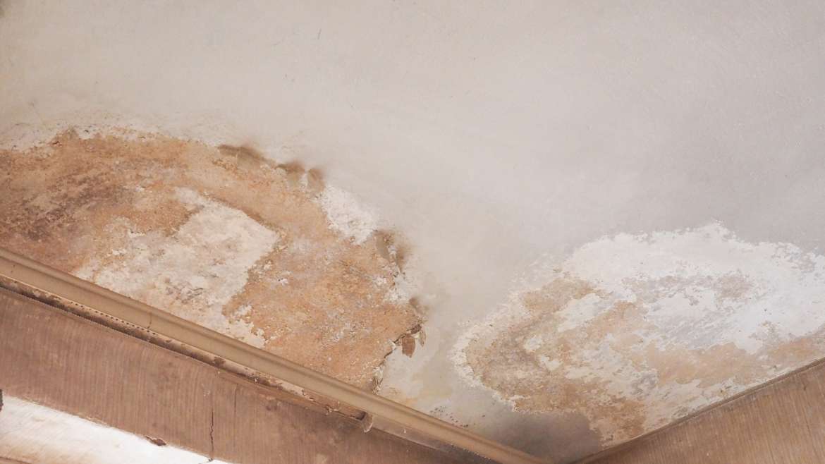 How to claim dampness to the home insurance